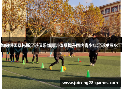如何借鉴桑托斯足球俱乐部青训体系提升国内青少年足球发展水平 如何借鉴桑托斯足球俱乐部青训体系提升国内青少年足球发展水平