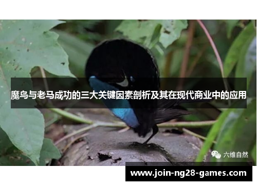 魔鸟与老马成功的三大关键因素剖析及其在现代商业中的应用 魔鸟与老马成功的三大关键因素剖析及其在现代商业中的应用